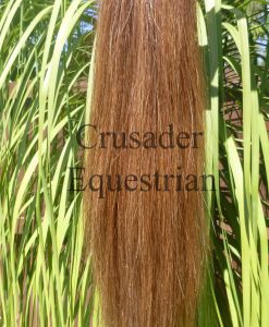 Light chestnut tail