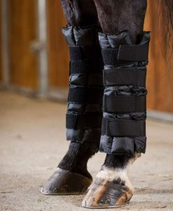 Ice boot for horse