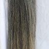 tail from Crusader Equestrian - Real Horse hair